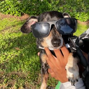 Meet your Posher, Teepot